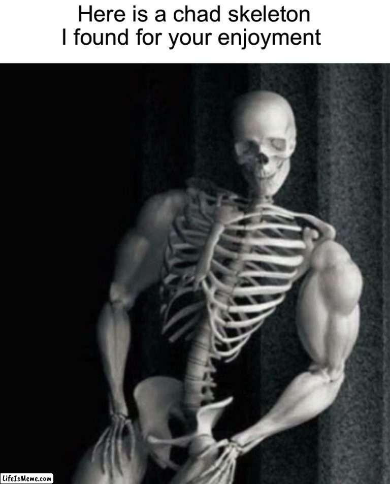 Enjoy |  Here is a chad skeleton I found for your enjoyment | image tagged in memes,funny,halloween,skeleton,chad,buff | made w/ Lifeismeme meme maker