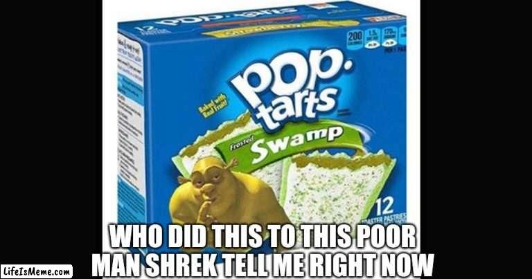 Shrek tarts |  WHO DID THIS TO THIS POOR MAN SHREK TELL ME RIGHT NOW | image tagged in shreck,pop tarts | made w/ Lifeismeme meme maker