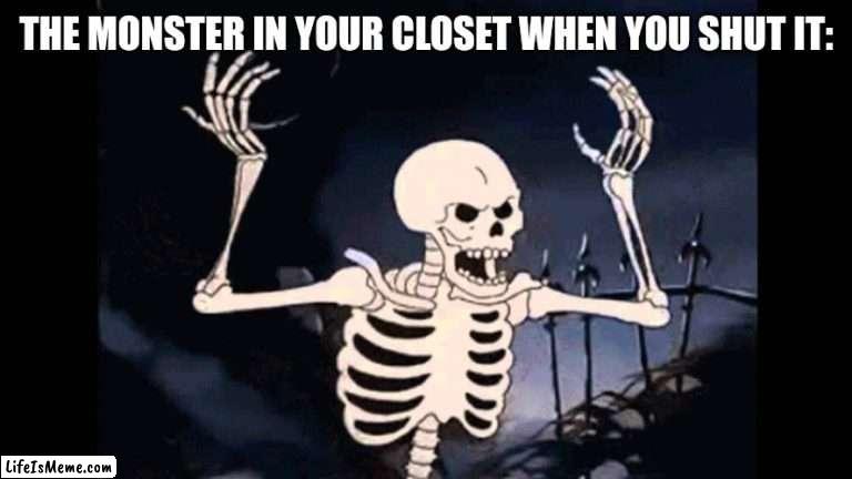 Do you guys close your closet and wake up with it open? |  THE MONSTER IN YOUR CLOSET WHEN YOU SHUT IT: | image tagged in spooky skeleton | made w/ Lifeismeme meme maker