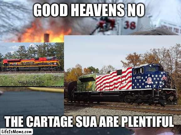 Heritage units be like |  GOOD HEAVENS NO; THE CARTAGE SUA ARE PLENTIFUL | image tagged in disaster girl | made w/ Lifeismeme meme maker