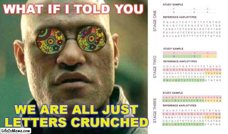 What If I Told You... we are all just letters crunched |  WHAT IF I TOLD YOU; WE ARE ALL JUST LETTERS CRUNCHED | image tagged in what if i told you | made w/ Lifeismeme meme maker