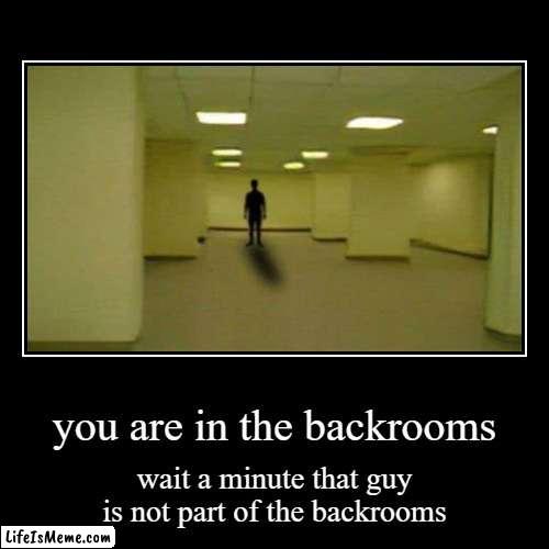 You are in the backrooms | you are in the backrooms | wait a minute that guy is not part of the backrooms | image tagged in funny,demotivationals | made w/ Lifeismeme demotivational maker