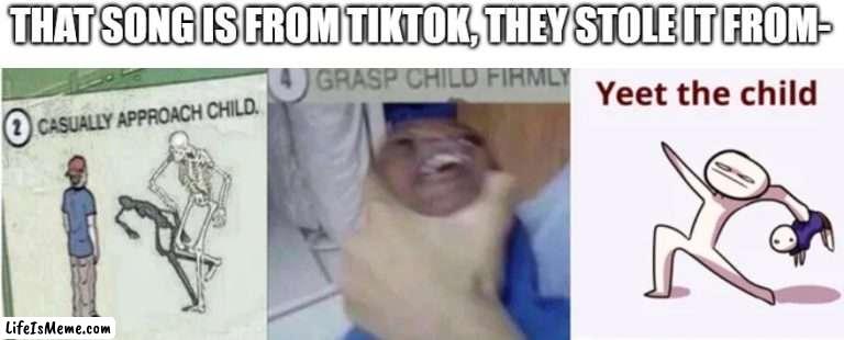 do not say the word, foul creature |  THAT SONG IS FROM TIKTOK, THEY STOLE IT FROM- | image tagged in casually approach child grasp child firmly yeet the child,tiktok,tiktok sucks,memes,funny,yeet the child | made w/ Lifeismeme meme maker