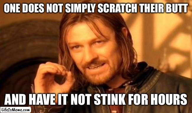 Smelly hand |  ONE DOES NOT SIMPLY SCRATCH THEIR BUTT; AND HAVE IT NOT STINK FOR HOURS | image tagged in memes,one does not simply | made w/ Lifeismeme meme maker