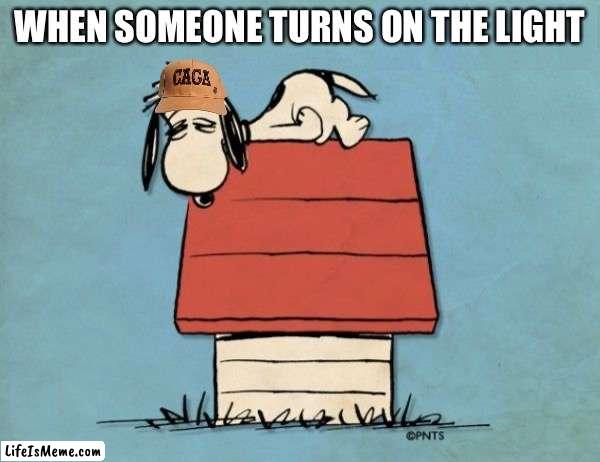 Snoopy bushed |  WHEN SOMEONE TURNS ON THE LIGHT | image tagged in snoopy bushed,snoopy,peanuts | made w/ Lifeismeme meme maker