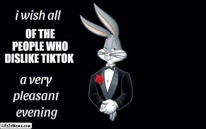 Relatable}¿♧◇♡ |  OF THE PEOPLE WHO DISLIKE TIKTOK | image tagged in i wish all the x a very pleasant evening | made w/ Lifeismeme meme maker