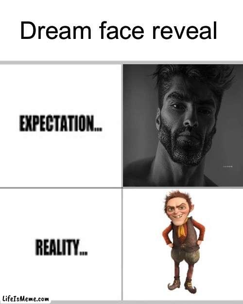 Dream Stans be like |  Dream face reveal | image tagged in expectation vs reality,dream,face reveal | made w/ Lifeismeme meme maker