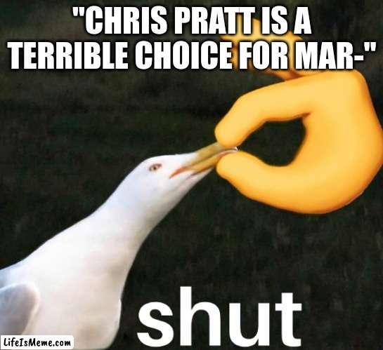 WILL EVERYONE SHUT UP ABOUT IT FOR 5 MINUTES OH MY GOD |  "CHRIS PRATT IS A TERRIBLE CHOICE FOR MAR-" | image tagged in bird shut,mario,nintendo,parrot,chris pratt | made w/ Lifeismeme meme maker