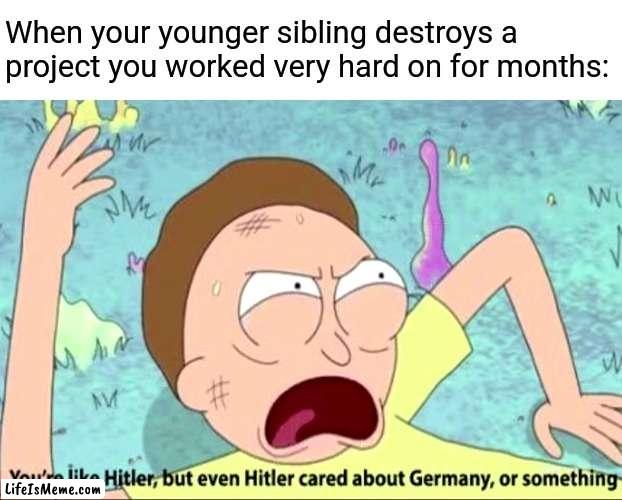 Has this ever happened to you? |  When your younger sibling destroys a project you worked very hard on for months: | image tagged in you're like hitler,siblings | made w/ Lifeismeme meme maker