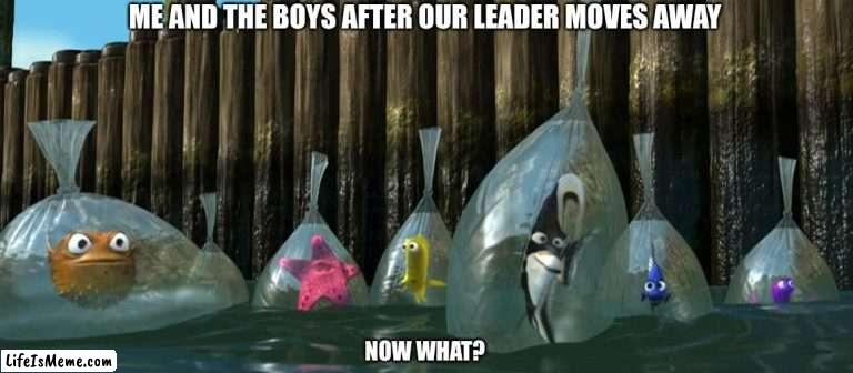 Now What - Finding Nemo |  ME AND THE BOYS AFTER OUR LEADER MOVES AWAY; NOW WHAT? | image tagged in now what - finding nemo,me and the boys | made w/ Lifeismeme meme maker