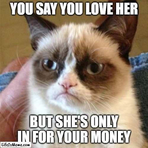 When they're only inf or your money. |  YOU SAY YOU LOVE HER; BUT SHE'S ONLY IN FOR YOUR MONEY | image tagged in money,women,love,cheaters | made w/ Lifeismeme meme maker