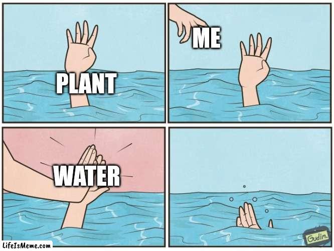 I'm not too good with plants. |  ME; PLANT; WATER | image tagged in high five drown | made w/ Lifeismeme meme maker