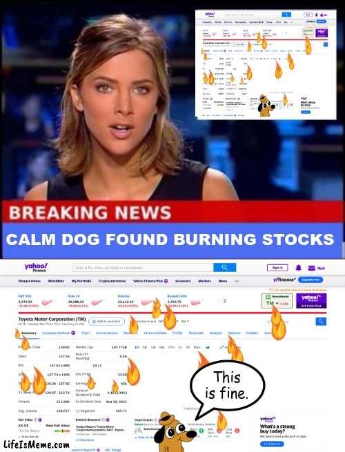 This is most definitely NOT FINE!!! |  CALM DOG FOUND BURNING STOCKS; This is fine. | image tagged in breaking news,this is fine dog | made w/ Lifeismeme meme maker