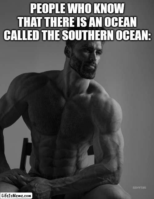 Southern Ocean |  PEOPLE WHO KNOW THAT THERE IS AN OCEAN CALLED THE SOUTHERN OCEAN: | image tagged in giga chad,geography,fun | made w/ Lifeismeme meme maker