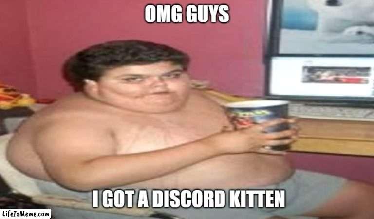 OMG GUYS |  OMG GUYS; I GOT A DISCORD KITTEN | image tagged in jokes,joke,discord moderator,discord,memes,fat kid | made w/ Lifeismeme meme maker