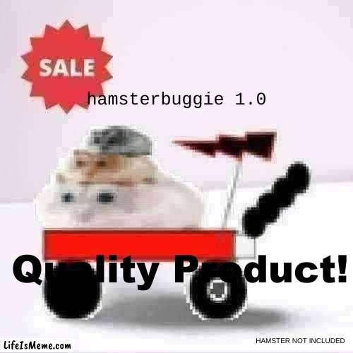 10/10 great product. |  hamsterbuggie 1.0; Quality Product! HAMSTER NOT INCLUDED | image tagged in hamster,car,a random meme | made w/ Lifeismeme meme maker