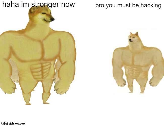 buff |  haha im stronger now; bro you must be hacking | image tagged in buff doge vs cheems,buff cheems,funny memes,fun,doge,cheems | made w/ Lifeismeme meme maker