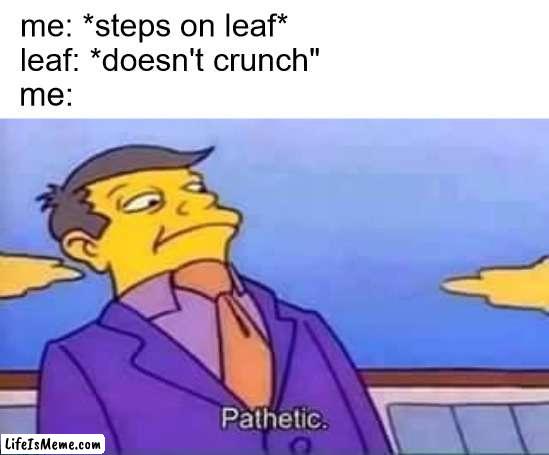 when the leaf doesn't make that crunch |  me: *steps on leaf*; leaf: *doesn't crunch"; me: | image tagged in skinner pathetic | made w/ Lifeismeme meme maker