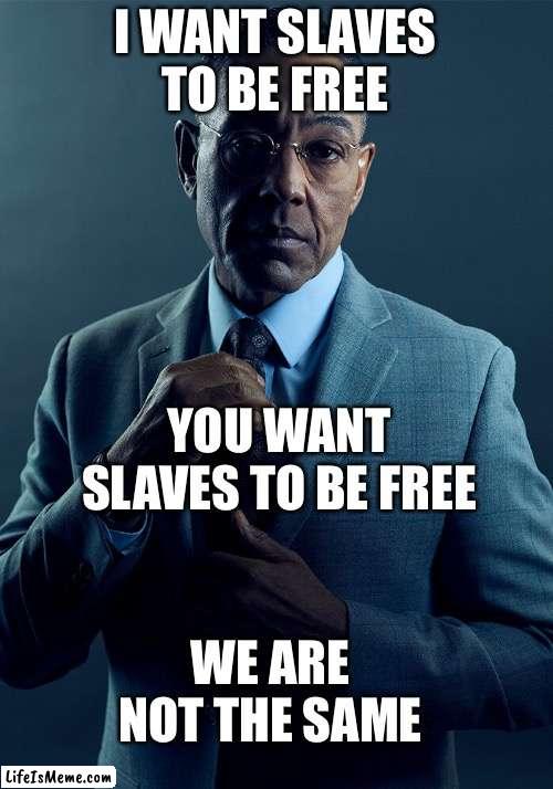 Insert Funny and Relevant Title Here |  I WANT SLAVES TO BE FREE; YOU WANT SLAVES TO BE FREE; WE ARE NOT THE SAME | image tagged in gus fring we are not the same,dark humor | made w/ Lifeismeme meme maker