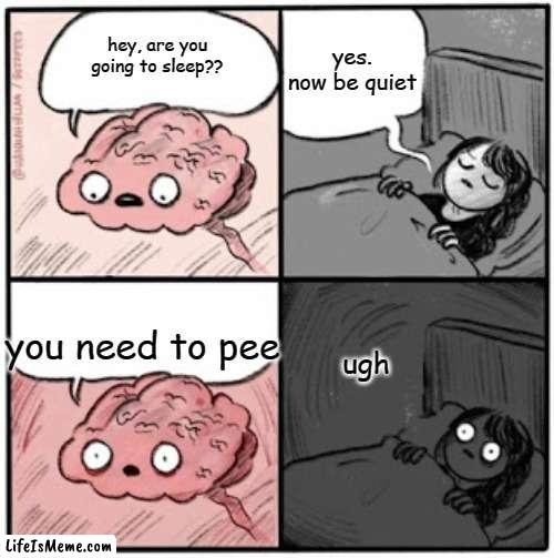 whyy |  yes. now be quiet; hey, are you going to sleep?? you need to pee; ugh | image tagged in brain before sleep | made w/ Lifeismeme meme maker