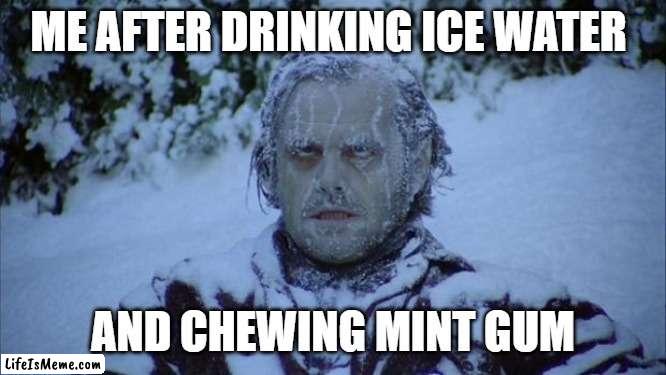 Cold |  ME AFTER DRINKING ICE WATER; AND CHEWING MINT GUM | image tagged in cold | made w/ Lifeismeme meme maker