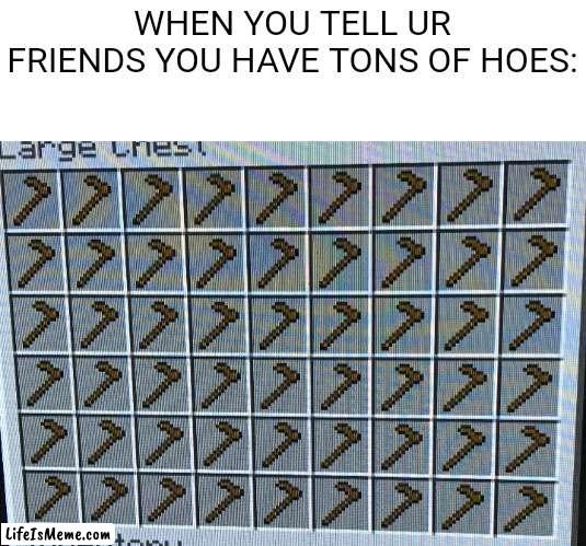 Hoes for days |  WHEN YOU TELL UR FRIENDS YOU HAVE TONS OF HOES: | image tagged in hoes,minecraft | made w/ Lifeismeme meme maker