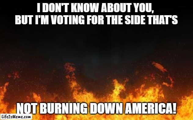 fire |  I DON'T KNOW ABOUT YOU, 
     BUT I'M VOTING FOR THE SIDE THAT'S; NOT BURNING DOWN AMERICA! | image tagged in fire | made w/ Lifeismeme meme maker