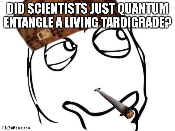 Did scientists just quantum entangle a living tardigrade? |  DID SCIENTISTS JUST QUANTUM ENTANGLE A LIVING TARDIGRADE? | image tagged in hey internet | made w/ Lifeismeme meme maker