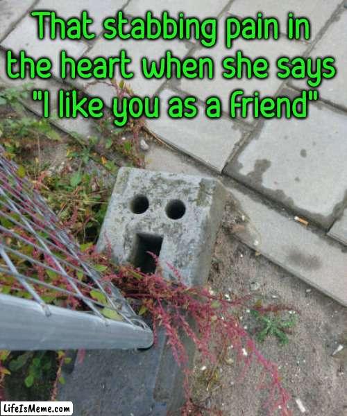 That look you make |  That stabbing pain in 
the heart when she says 
"I like you as a friend" | image tagged in that look you give,broken heart,friendship,hide the pain | made w/ Lifeismeme meme maker