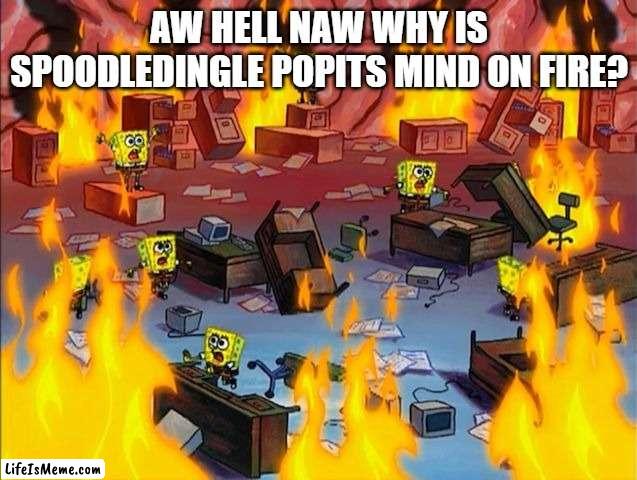 aw hell naw |  AW HELL NAW WHY IS SPOODLEDINGLE POPITS MIND ON FIRE? | image tagged in spongebob fire | made w/ Lifeismeme meme maker