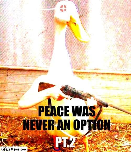 Peace was never an option PT.2 |  PEACE WAS NEVER AN OPTION; PT.2 | image tagged in gun,angry duck,duck | made w/ Lifeismeme meme maker