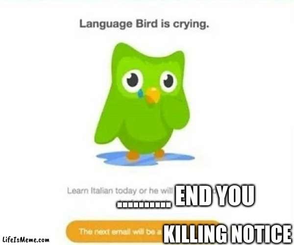 duolingo owl when you don't pratice italian. |  .......... END YOU; KILLING NOTICE | image tagged in duolingo bird | made w/ Lifeismeme meme maker