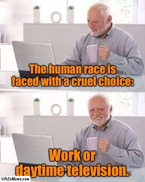 Cruel choice |  The human race is faced with a cruel choice:; Work or daytime television. | image tagged in hide the pain harold,human race,cruel choice,work,daytime tv,fun | made w/ Lifeismeme meme maker