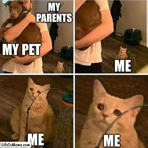 HE IS STEALING MY POPULARITY |  MY PARENTS; MY PET; ME; ME; ME | image tagged in sad cat holding dog | made w/ Lifeismeme meme maker