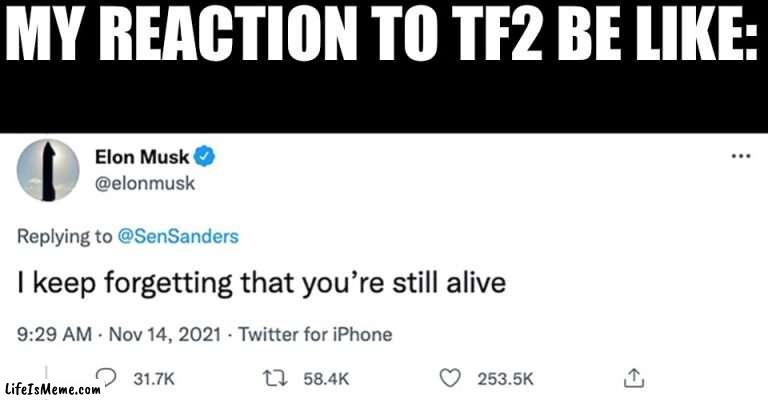 Elon Musk Twitter Roast |  MY REACTION TO TF2 BE LIKE: | image tagged in elon musk twitter roast,tf2,gaming,funny,twitter | made w/ Lifeismeme meme maker