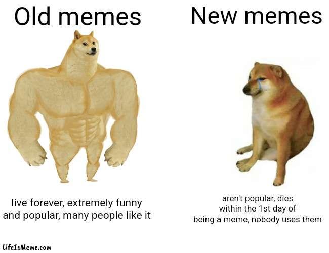 Who wants the old memes back? |  Old memes; New memes; live forever, extremely funny and popular, many people like it; aren't popular, dies within the 1st day of being a meme, nobody uses them | image tagged in memes,buff doge vs cheems,oh wow are you actually reading these tags | made w/ Lifeismeme meme maker