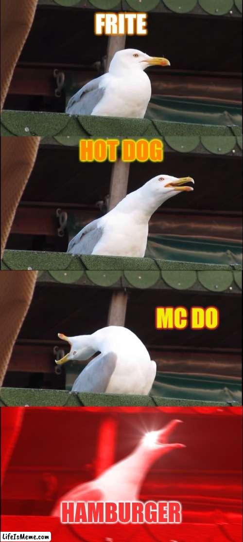 food bird |  FRITE; HOT DOG; MC DO; HAMBURGER | image tagged in memes,inhaling seagull | made w/ Lifeismeme meme maker