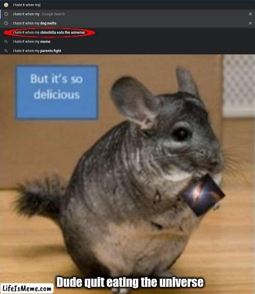 Why is my chinchilla eating the universe!? |  Dude quit eating the universe | image tagged in chinchilla,eating universe | made w/ Lifeismeme meme maker