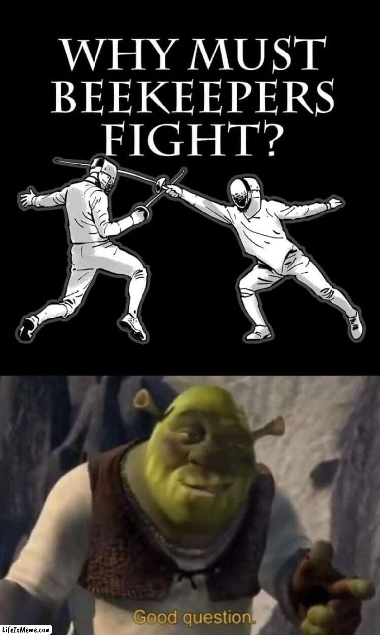 Good question | image tagged in why must beekeepers fight,shrek good question,why,must,beekeepers,fight | made w/ Lifeismeme meme maker
