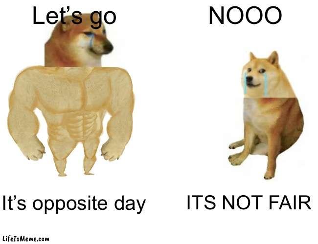 Opposite day |  Let’s go; NOOO; It’s opposite day; ITS NOT FAIR | image tagged in memes,buff doge vs cheems,opposite day | made w/ Lifeismeme meme maker