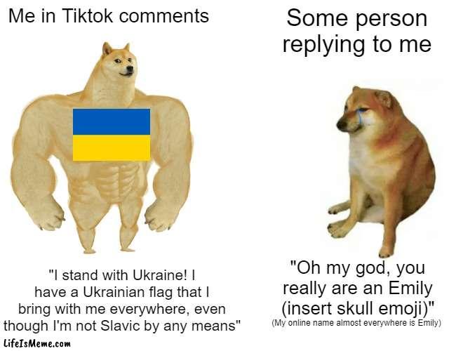 Some very nice Ukrainian did reply saying it melts her heart :) |  Me in Tiktok comments; Some person replying to me; "I stand with Ukraine! I have a Ukrainian flag that I bring with me everywhere, even though I'm not Slavic by any means"; "Oh my god, you really are an Emily (insert skull emoji)"; (My online name almost everywhere is Emily) | image tagged in memes,buff doge vs cheems | made w/ Lifeismeme meme maker