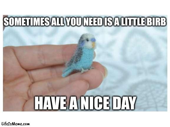 Little birb |  SOMETIMES ALL YOU NEED IS A LITTLE BIRB; HAVE A NICE DAY | image tagged in birb | made w/ Lifeismeme meme maker