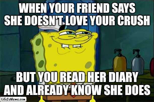 Don't You Squidward Meme |  WHEN YOUR FRIEND SAYS SHE DOESN'T LOVE YOUR CRUSH; BUT YOU READ HER DIARY AND ALREADY KNOW SHE DOES | image tagged in memes,don't you squidward | made w/ Lifeismeme meme maker