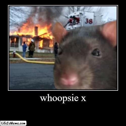 oopise doopsie | whoopsie x | | image tagged in funny,demotivationals | made w/ Lifeismeme demotivational maker