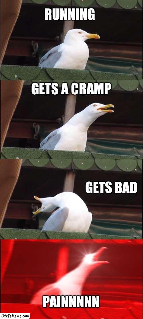 Cramp |  RUNNING; GETS A CRAMP; GETS BAD; PAINNNNN | image tagged in memes,inhaling seagull | made w/ Lifeismeme meme maker