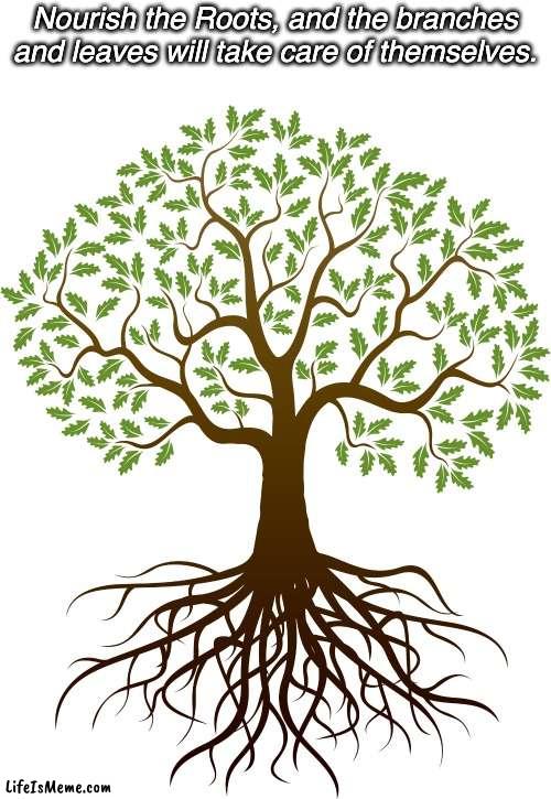 Tree wisdom |  Nourish the Roots, and the branches and leaves will take care of themselves. | image tagged in words of wisdom,inspirational,inspirational quote,inspirational memes,nature | made w/ Lifeismeme meme maker