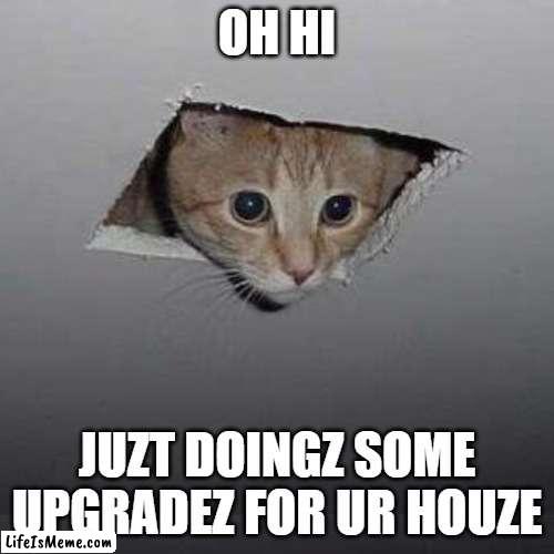 Juzt doingz upgradez |  OH HI; JUZT DOINGZ SOME UPGRADEZ FOR UR HOUZE | image tagged in memes,ceiling cat | made w/ Lifeismeme meme maker