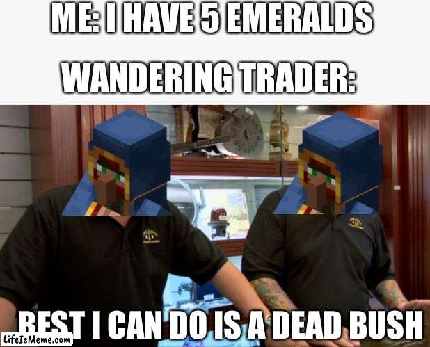 They suck |  ME: I HAVE 5 EMERALDS; WANDERING TRADER:; BEST I CAN DO IS A DEAD BUSH | image tagged in pawn stars best i can do | made w/ Lifeismeme meme maker