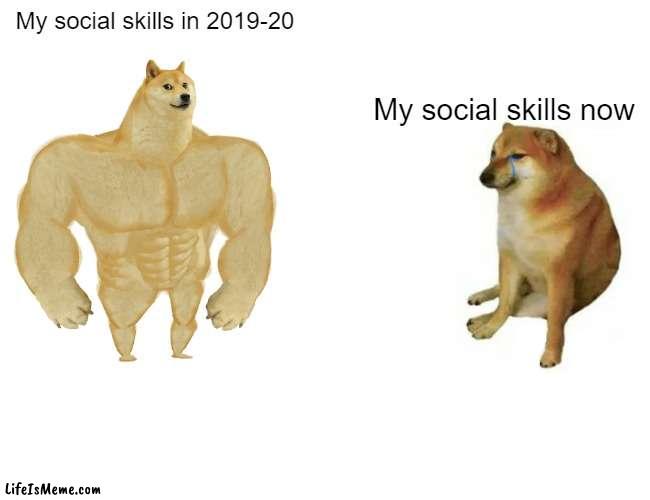 No friends moment |  My social skills in 2019-20; My social skills now | image tagged in memes,buff doge vs cheems,no friends,social anxiety | made w/ Lifeismeme meme maker