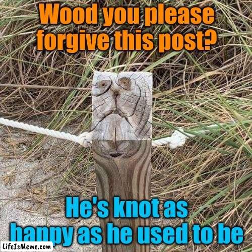 Sad post |  Wood you please forgive this post? He's knot as happy as he used to be | image tagged in wood,posts,bad puns,stupid memes | made w/ Lifeismeme meme maker